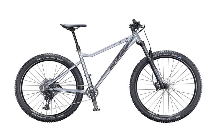 Hochwertiges Mountainbike in Silber mit Label "ULTRA EVO", 48 cm Rahmen, Reifen von Schwalbe, auf weißem Hintergrund.